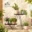 Plant Stand